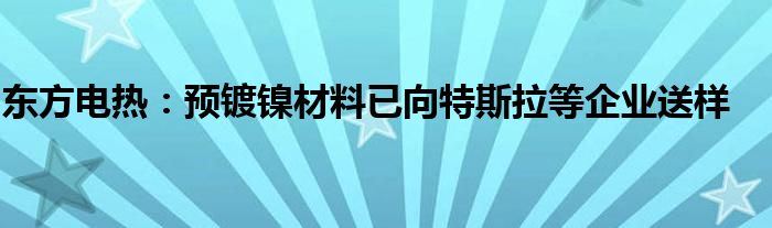 东方电热：预镀镍材料已向特斯拉等企业送样