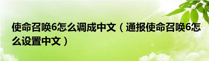 使命召唤6怎么调成中文（通报使命召唤6怎么设置中文）