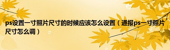 ps设置一寸照片尺寸的时候应该怎么设置（通报ps一寸照片尺寸怎么调）