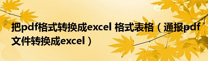 把pdf格式转换成excel 格式表格（通报pdf文件转换成excel）