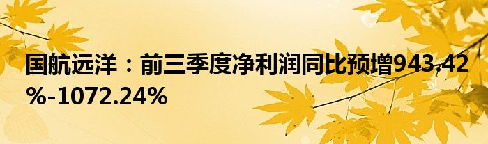 国航远洋：前三季度净利润同比预增943.42%-1072.24%