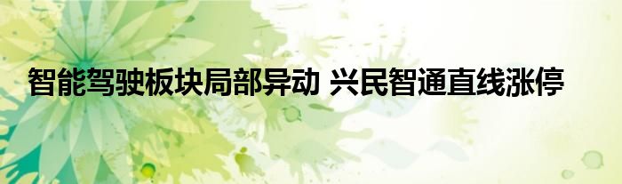 智能驾驶板块局部异动 兴民智通直线涨停