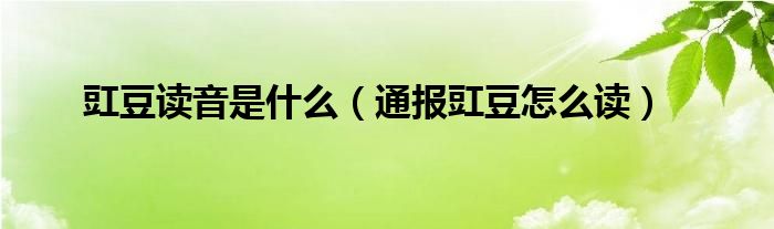 豇豆读音是什么（通报豇豆怎么读）