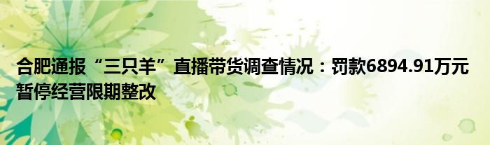 合肥通报“三只羊”直播带货调查情况：罚款6894.91万元 暂停经营限期整改