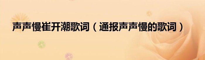 声声慢崔开潮歌词（通报声声慢的歌词）