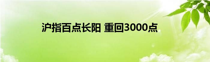 沪指百点长阳 重回3000点