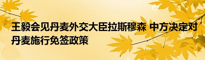 王毅会见丹麦外交大臣拉斯穆森 中方决定对丹麦施行免签政策