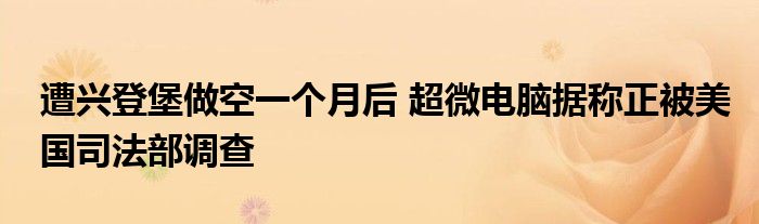 遭兴登堡做空一个月后 超微电脑据称正被美国司法部调查