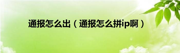 通报怎么出（通报怎么拼ip啊）