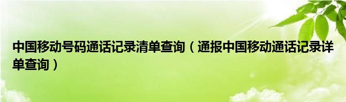 中国移动号码通话记录清单查询（通报中国移动通话记录详单查询）