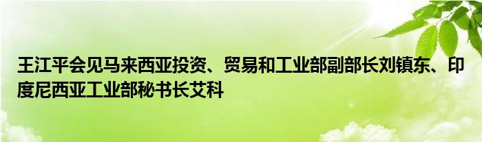 王江平会见马来西亚投资、贸易和工业部副部长刘镇东、印度尼西亚工业部秘书长艾科