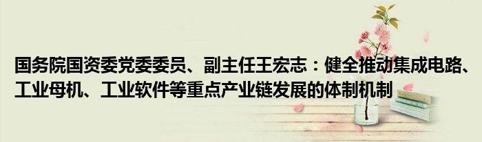 国务院国资委党委委员、副主任王宏志：健全推动集成电路、工业母机、工业软件等重点产业链发展的体制机制