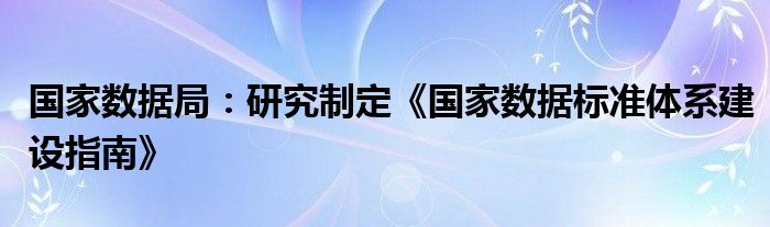 国家数据局：研究制定《国家数据标准体系建设指南》