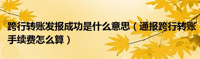 跨行转账发报成功是什么意思（通报跨行转账手续费怎么算）