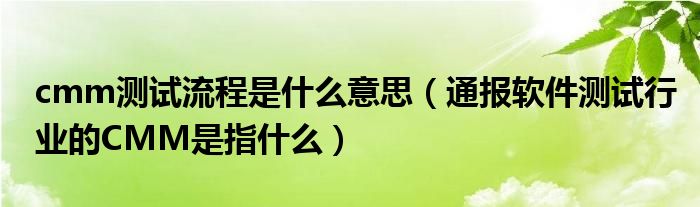 cmm测试流程是什么意思（通报软件测试行业的CMM是指什么）