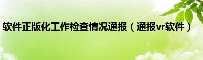 软件正版化工作检查情况通报（通报vr软件）