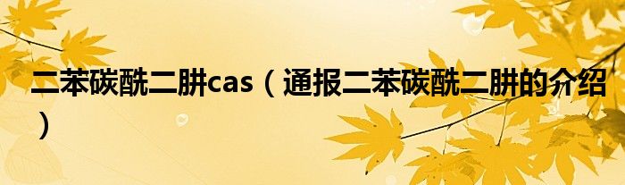 二苯碳酰二肼cas（通报二苯碳酰二肼的介绍）