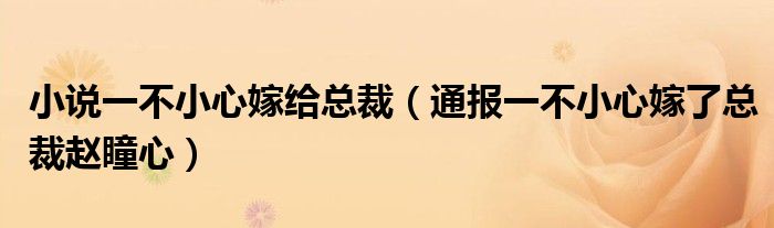 小说一不小心嫁给总裁（通报一不小心嫁了总裁赵瞳心）