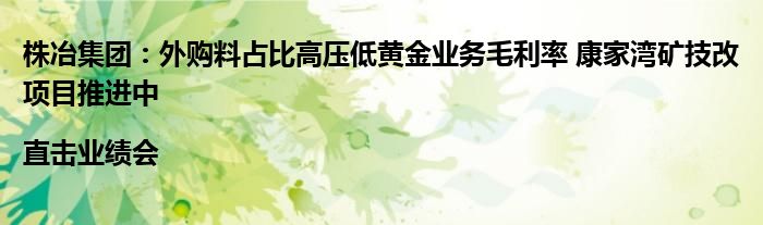 株冶集团：外购料占比高压低黄金业务毛利率 康家湾矿技改项目推进中 |直击业绩会