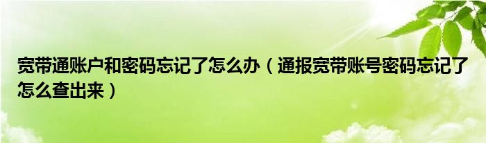 宽带通账户和密码忘记了怎么办（通报宽带账号密码忘记了怎么查出来）