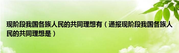 现阶段我国各族人民的共同理想有（通报现阶段我国各族人民的共同理想是）