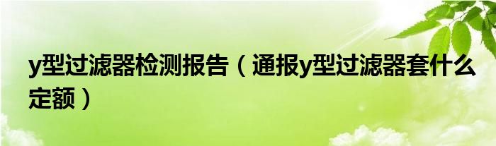 y型过滤器检测报告（通报y型过滤器套什么定额）