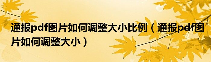 通报pdf图片如何调整大小比例（通报pdf图片如何调整大小）