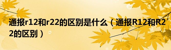 通报r12和r22的区别是什么（通报R12和R22的区别）