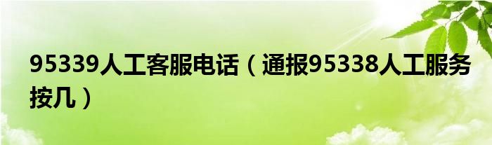 95339人工客服电话（通报95338人工服务按几）