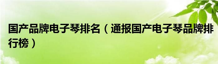 国产品牌电子琴排名（通报国产电子琴品牌排行榜）