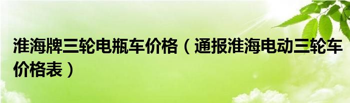 淮海牌三轮电瓶车价格（通报淮海电动三轮车价格表）