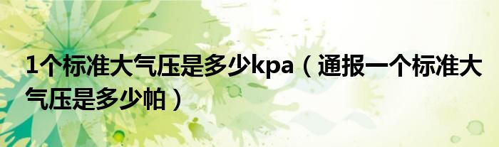 1个标准大气压是多少kpa（通报一个标准大气压是多少帕）