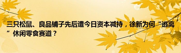 三只松鼠、良品铺子先后遭今日资本减持，徐新为何“逃离”休闲零食赛道？