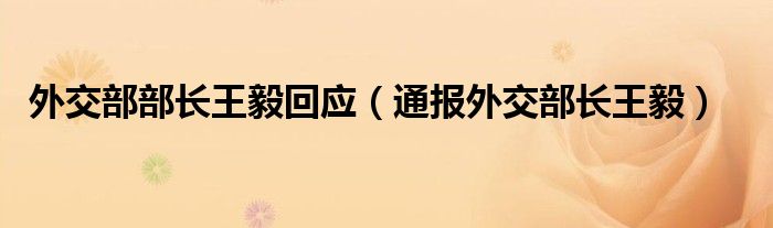 外交部部长王毅回应（通报外交部长王毅）