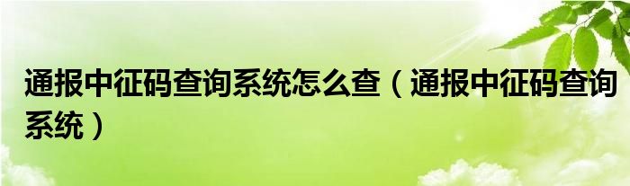 通报中征码查询系统怎么查（通报中征码查询系统）