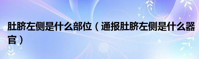 肚脐左侧是什么部位（通报肚脐左侧是什么器官）