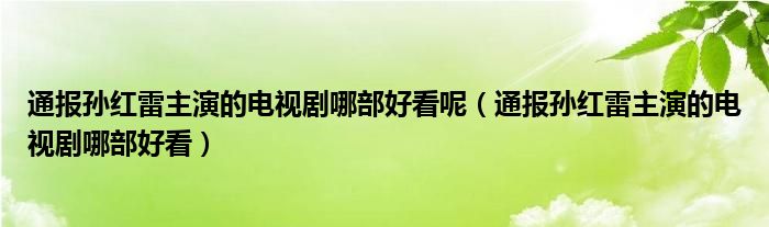 通报孙红雷主演的电视剧哪部好看呢（通报孙红雷主演的电视剧哪部好看）