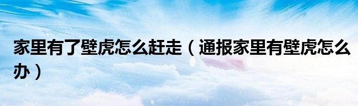 家里有了壁虎怎么赶走（通报家里有壁虎怎么办）