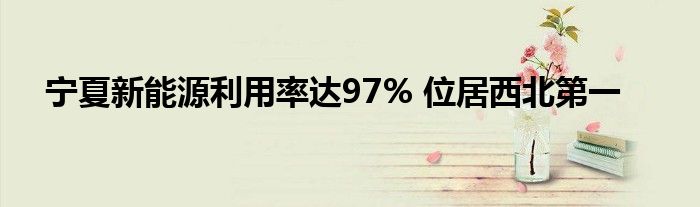 宁夏新能源利用率达97% 位居西北第一