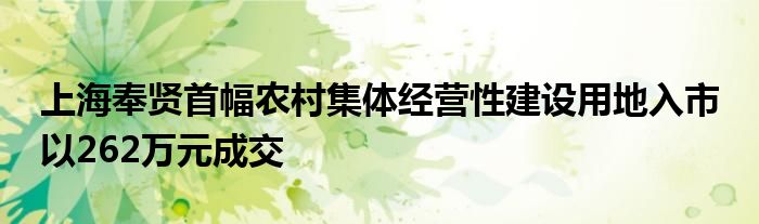 上海奉贤首幅农村集体经营性建设用地入市 以262万元成交