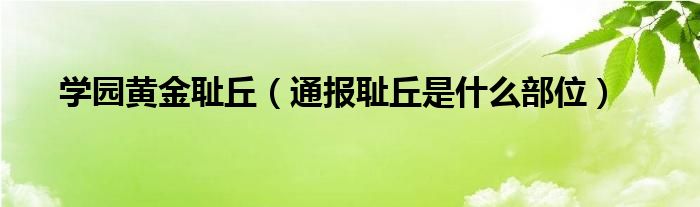 学园黄金耻丘（通报耻丘是什么部位）