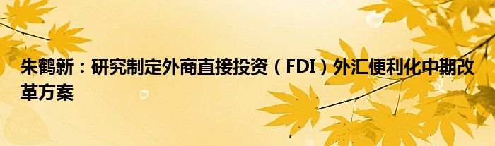 朱鹤新：研究制定外商直接投资（FDI）外汇便利化中期改革方案