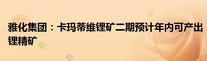 雅化集团：卡玛蒂维锂矿二期预计年内可产出锂精矿