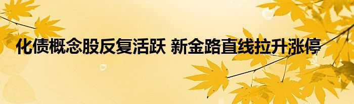 化债概念股反复活跃 新金路直线拉升涨停