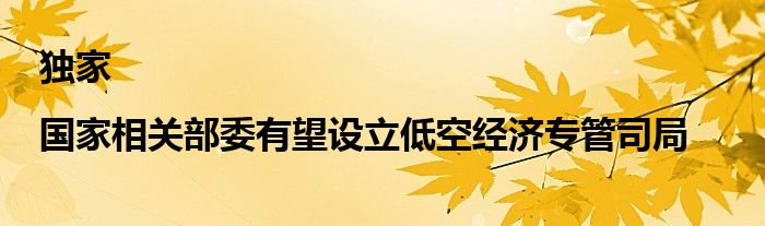 独家|国家相关部委有望设立低空经济专管司局