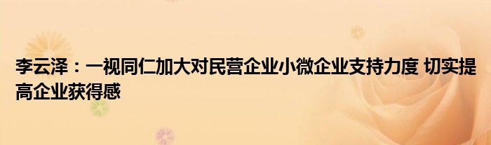 李云泽：一视同仁加大对民营企业小微企业支持力度 切实提高企业获得感