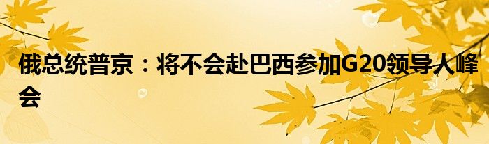 俄总统普京：将不会赴巴西参加G20领导人峰会