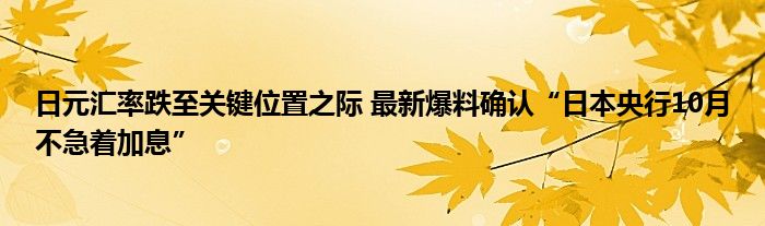 日元汇率跌至关键位置之际 最新爆料确认“日本央行10月不急着加息”