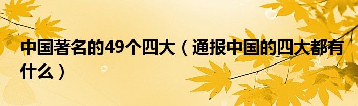 中国著名的49个四大（通报中国的四大都有什么）