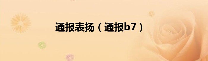 通报表扬（通报b7）